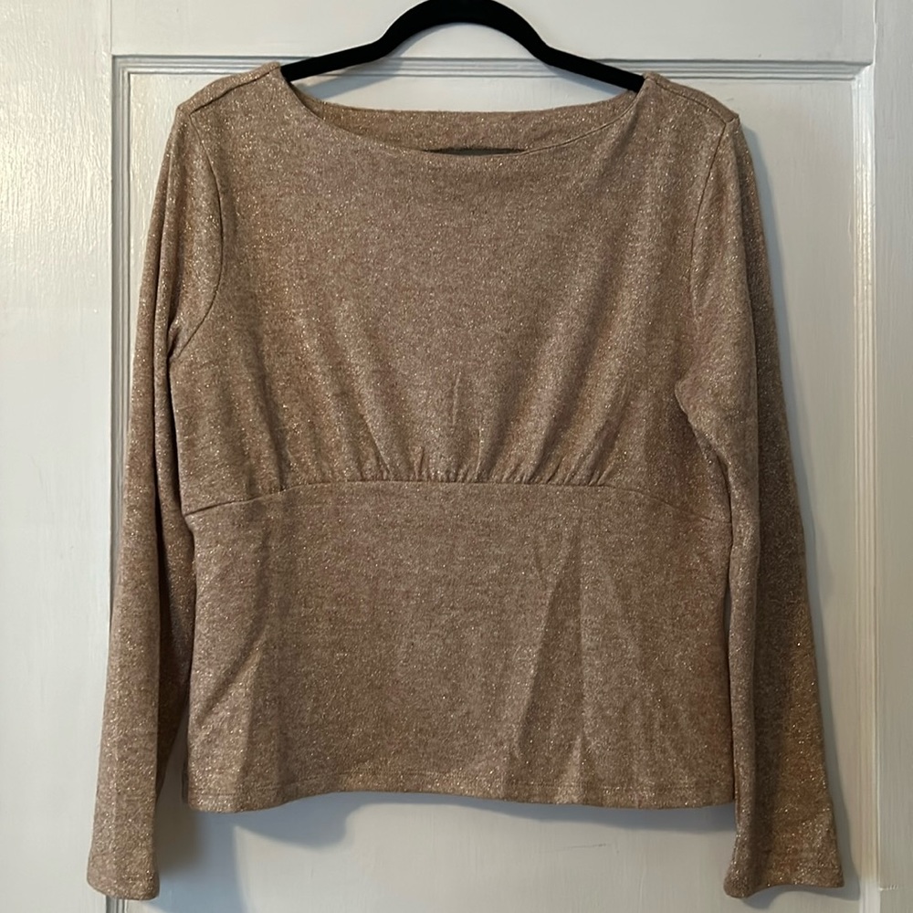 Banana Republic NWOT Sparkly Blouse Size L